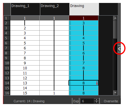 显示摄影表视图中的函数部分
