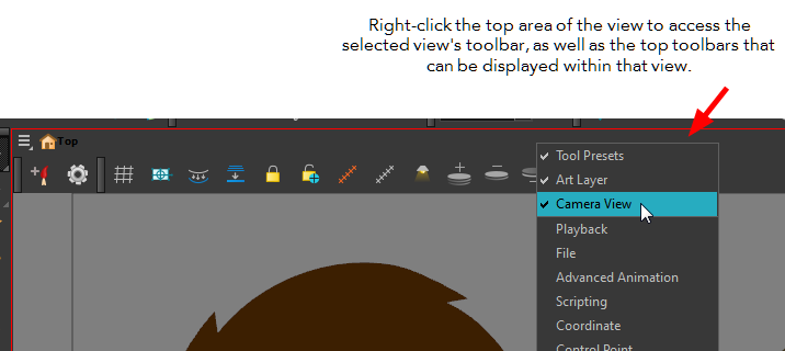 How to display a view toolbar in Toon Boom Harmony