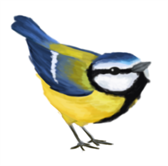 Drawing with Bitmap Brushes
